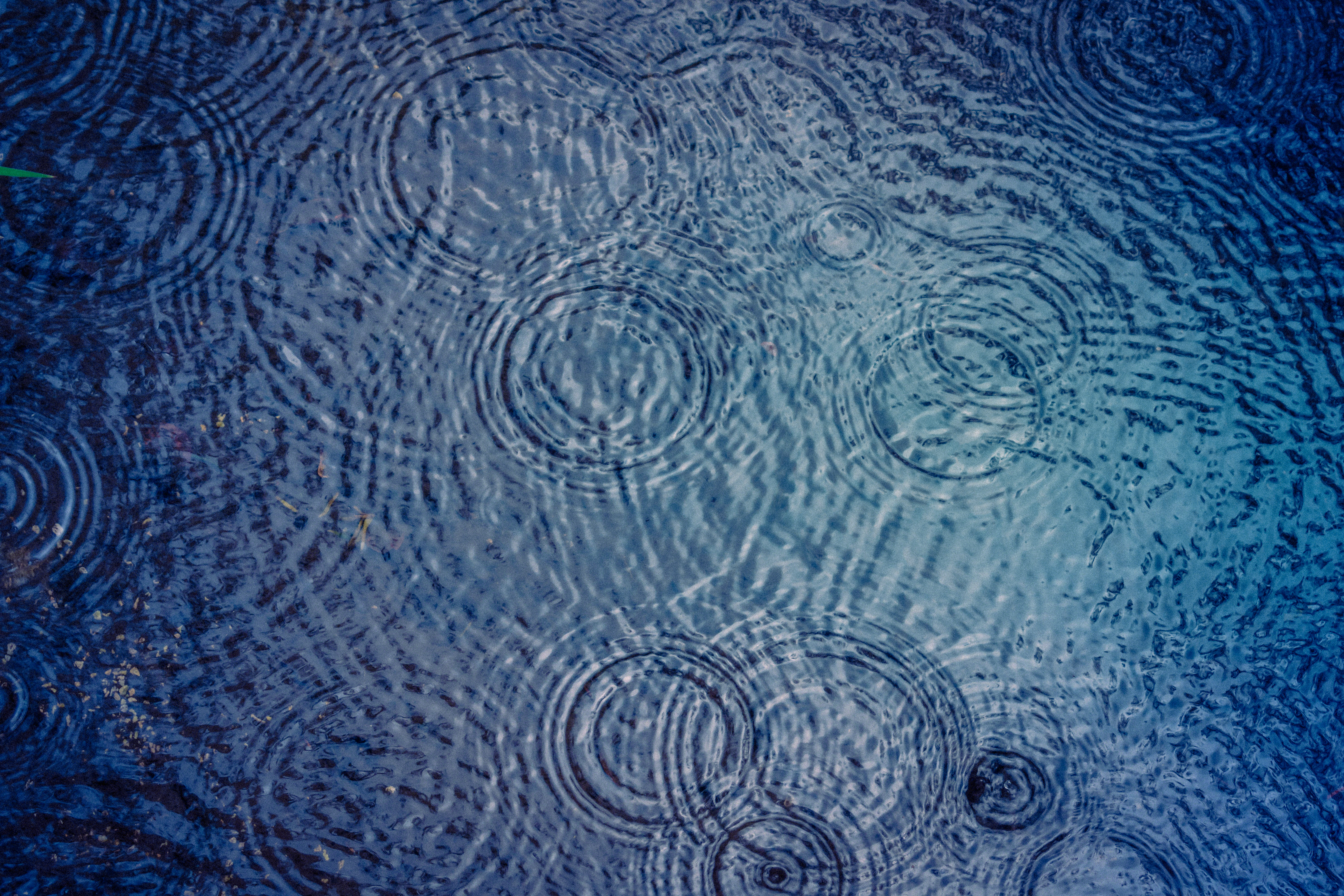 Regen fällt in eine Pfütze
